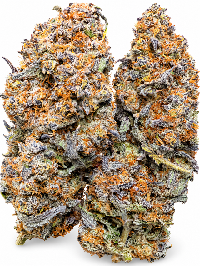 G.M.O. Cookies 716 Sticky