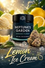 Lemon Ice Cream Neptune's Garden