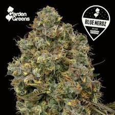 Blue Nerdz Garden Greens Blue Nerdz Garden Greens