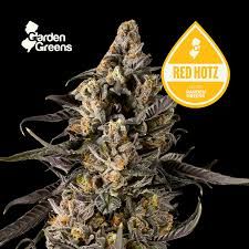 Red Hotz Garden Greens