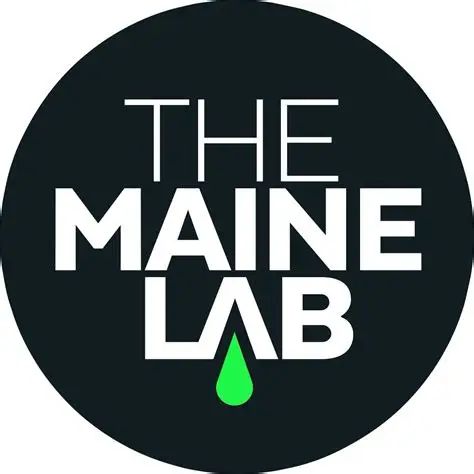 Stick 1:1 The Maine Lab