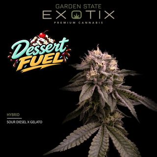 Cannabis Promo, Cannabis Sales, Cannabis Discounts, Cannabis on Sale, Exotix OZ 3