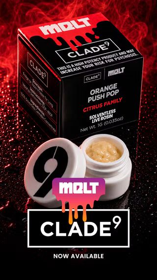 Orange Push Pop Clade 9