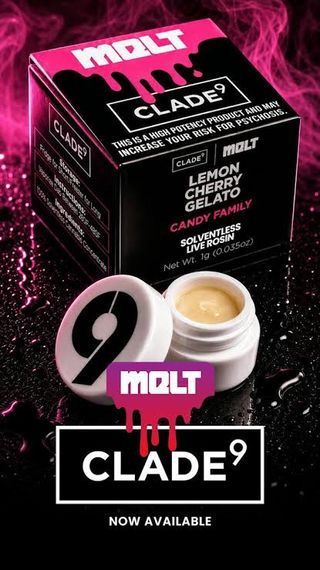 Lemon Cherry Gelato Clade 9