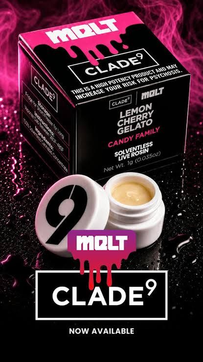 Lemon Cherry Gelato Clade 9