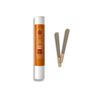 Certified Organic Lemon Boss .5g Infused Pre-Roll (2 Pack) Apothecare