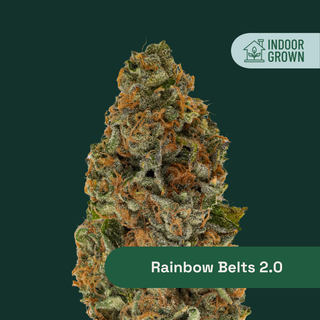 Rainbow Belts 2.0 The Botanist