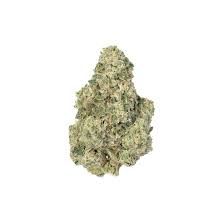 Lemon Pepper Camp