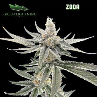 Zoda - Smalls Green Lightning