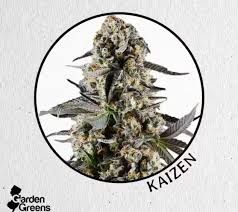 Kaizen Garden Greens Kaizen Garden Greens