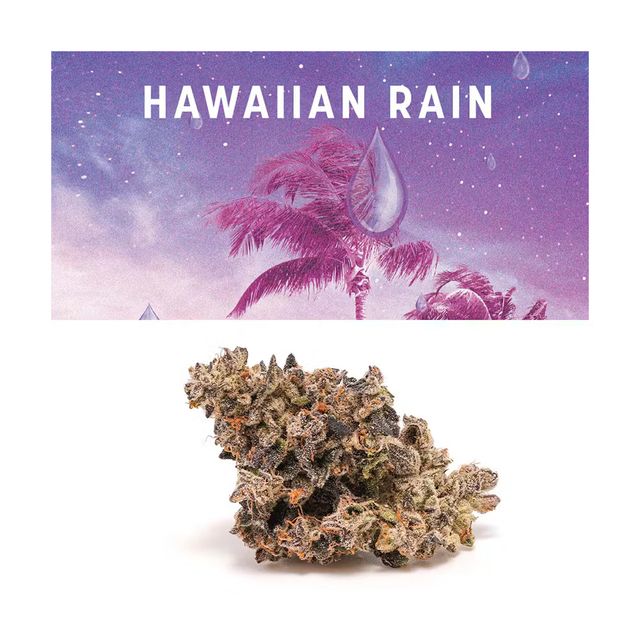 Hawaiian Rain Cookies Small Batch
