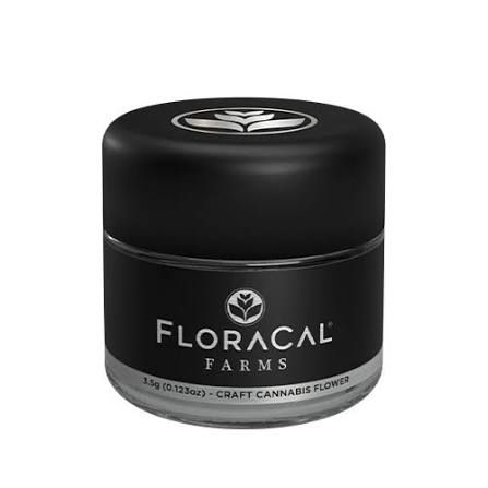 Candy Express Floracal Candy Express Floracal