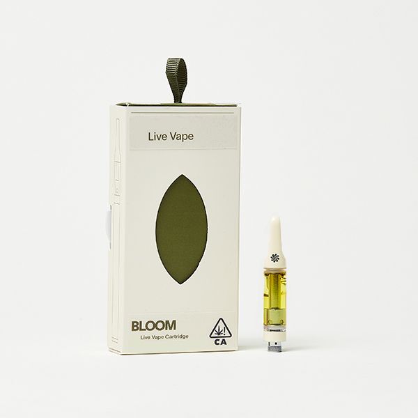 Lime Sugar Cookie Bloom Lime Sugar Cookie Bloom