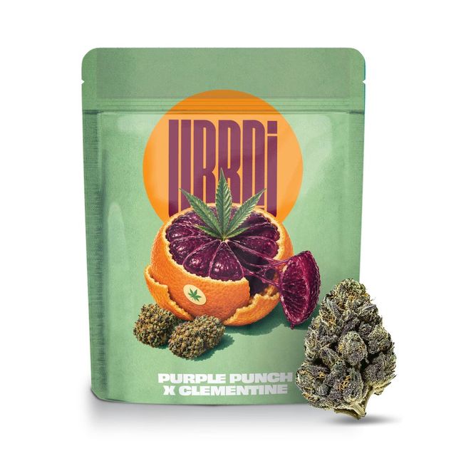 Purple Punch X Clementine URBNJ
