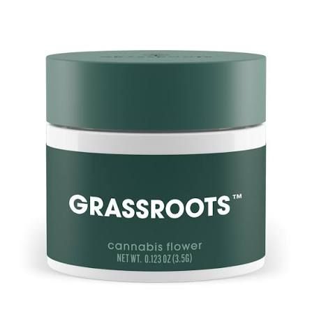 Thick Mints Grassroots