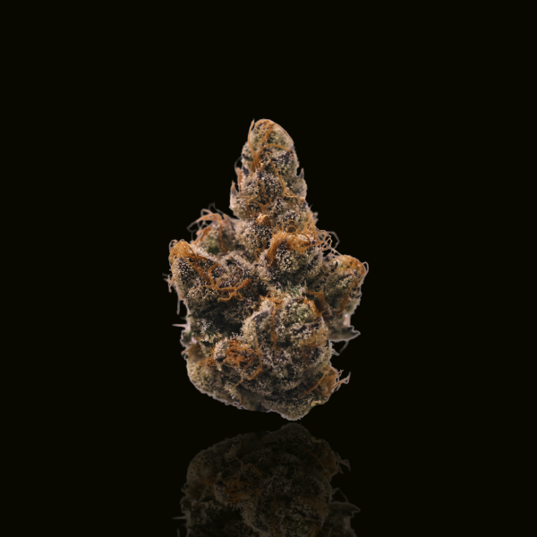 Orange Cream Soda Northern Heights