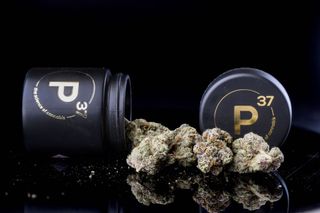 Cannabis Promo, Cannabis Sales, Cannabis Discounts, Cannabis on Sale, 20% Off Prohibition37 2
