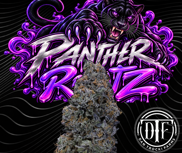 Panther Runtz DTF Panther Runtz DTF