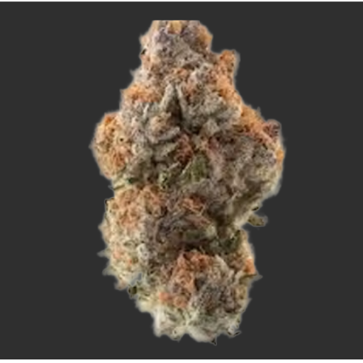 Dragons Breath Akron Bloom