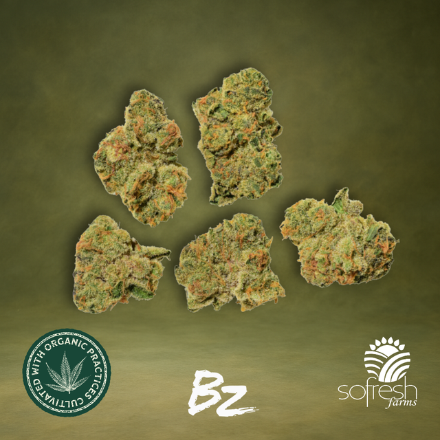 Purple Milk BZ by sofresh farms Purple Milk BZ by sofresh farms
