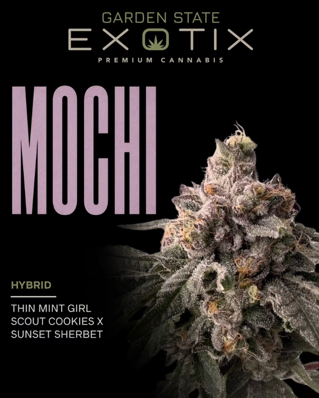 Mochi Garden State Exotix Mochi Garden State Exotix