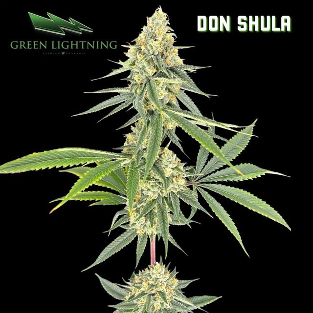 Don Shula Green Lightning Don Shula Green Lightning