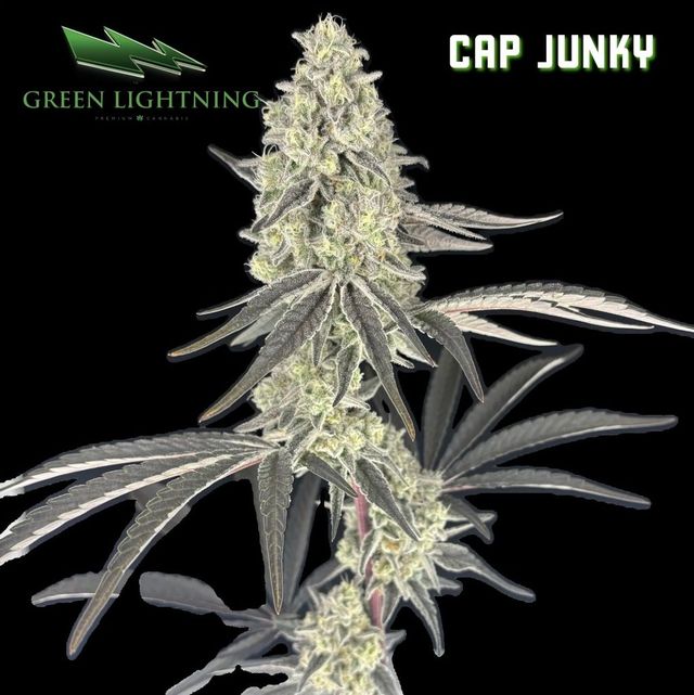 Cap Junky Green Lightning Cap Junky Green Lightning