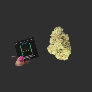 Cannabis Promo, Cannabis Sales, Cannabis Discounts, Cannabis on Sale, House Of Sacci 5 For $40 1