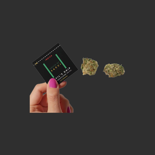 Cannabis Promo, Cannabis Sales, Cannabis Discounts, Cannabis on Sale, House Of Sacci 5 For $40 2