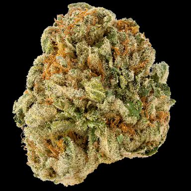 OG Cube Prolific Grow House