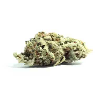 Slush Puppy Prolific Grow House