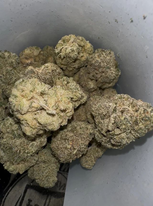 Trap Candy Prolific Grow House