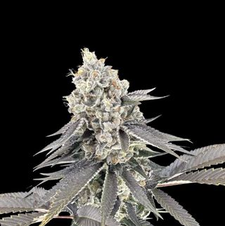 Death Star Green Lightning