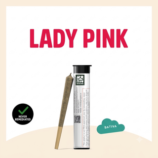 Lady Pink Springtime