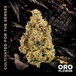 Coconut Candy ORO