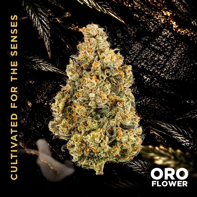 Coconut Candy ORO