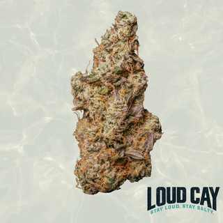 PMO Loud Cay