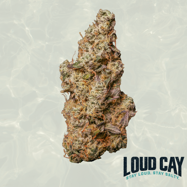 PMO Loud Cay