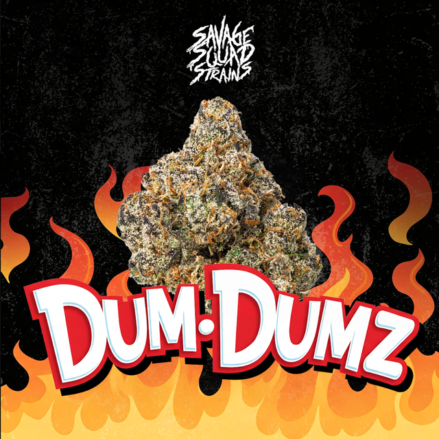 Dum Dumz Savage Squad