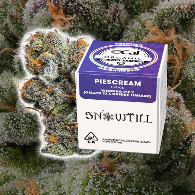 Piescream 3.5g Snowtill Piescream 3.5g Snowtill